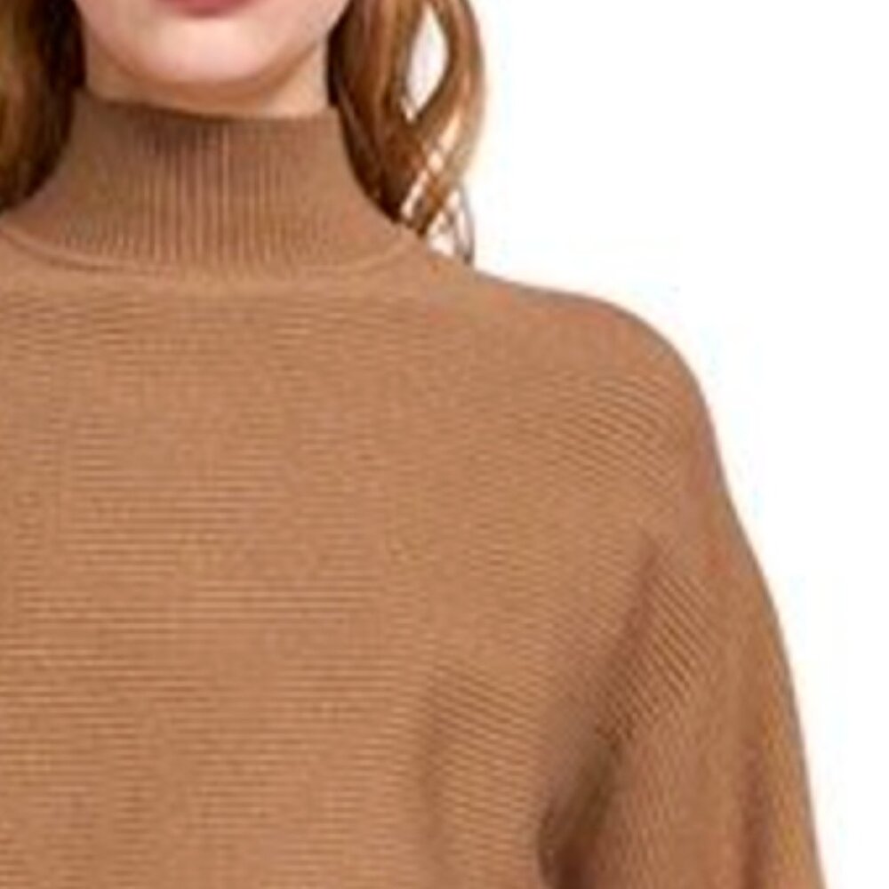 NWOT Zara Dolman Sleeve Fitted Pullover Top Sweater - Picture 2 of 9